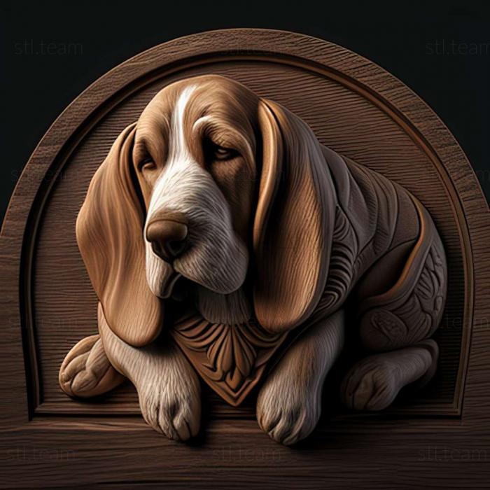 3D model Artesian Norman Basset dog (STL)